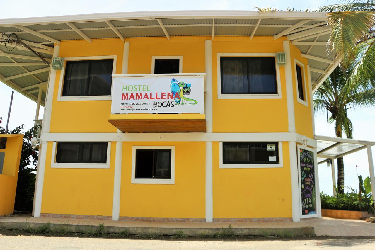 Hostel Mamallena Bocas Del Toro (Adults Only) ภายนอก รูปภาพ
